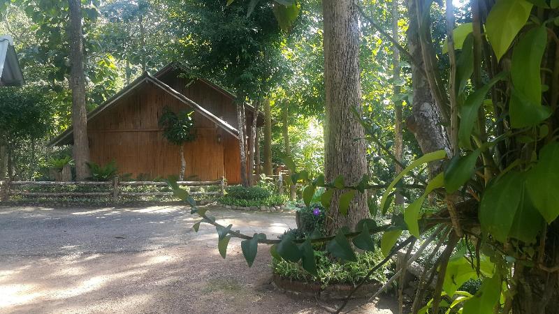 Lintfah camping — photo 3