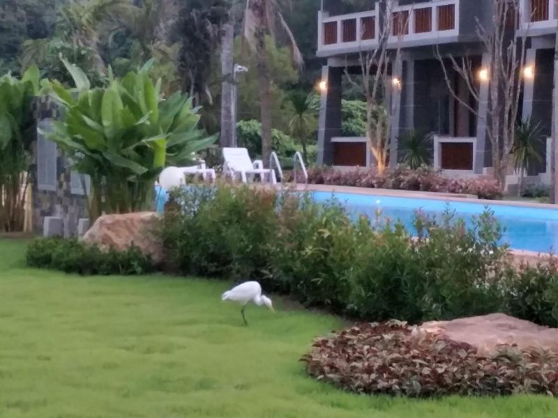 Lanta Infinity Resort