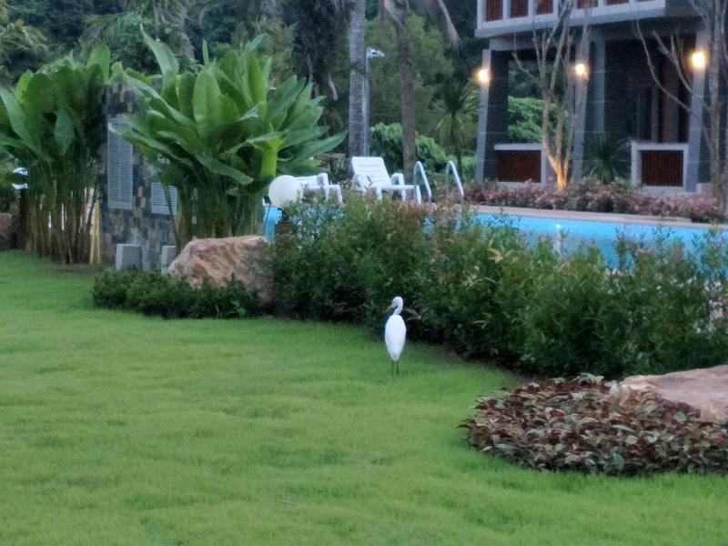 Lanta Infinity Resort