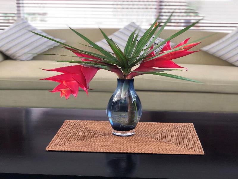 Surfrider Resort Hotel image