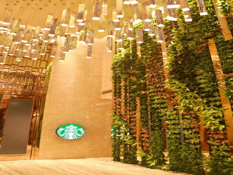 Menshine Gloria Plaza Hotel image