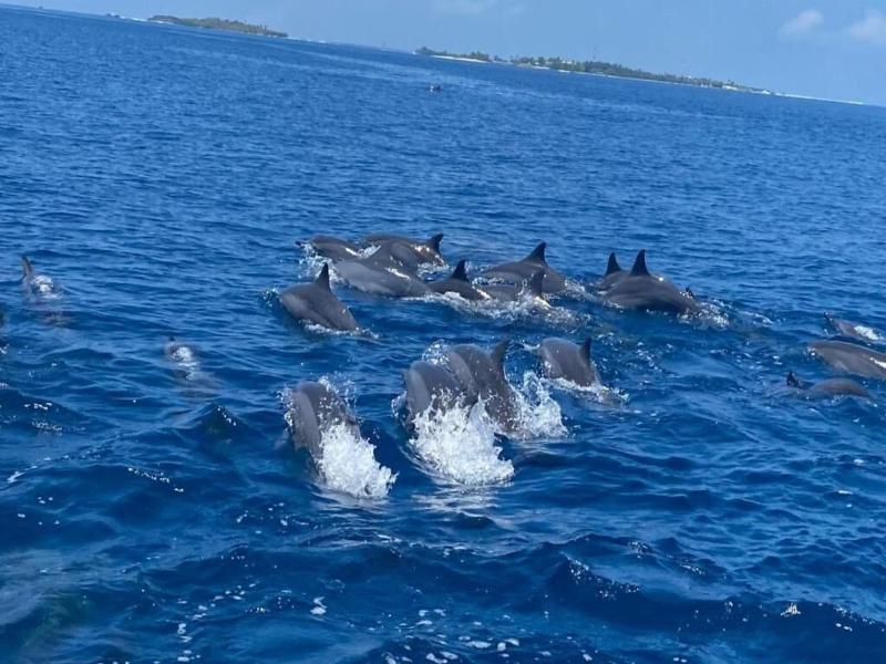 Pearl Sands At Huraa image