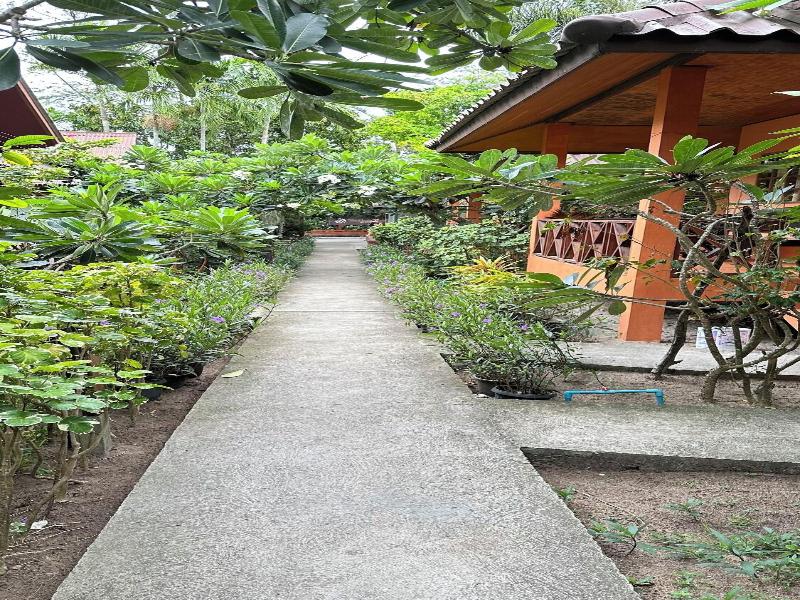 Nat Resort Koh Tao image