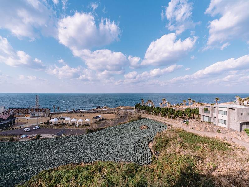 Cocoon Hotel Jeju