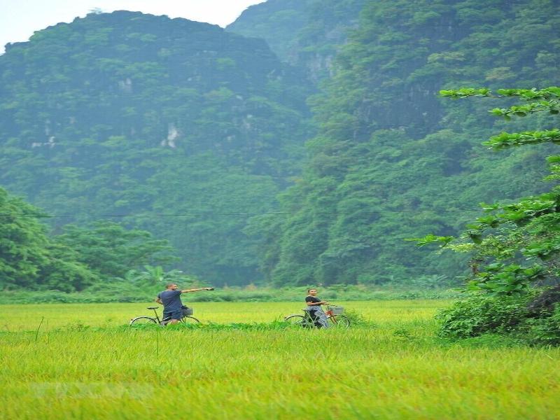 Little Tam Coc image