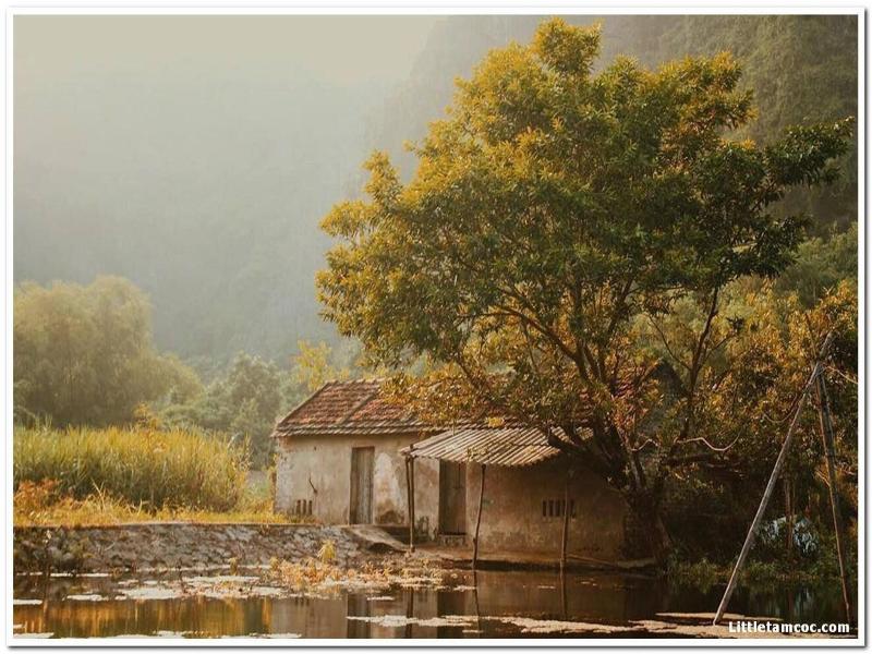 Little Tam Coc image