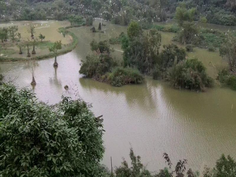 Little Tam Coc image