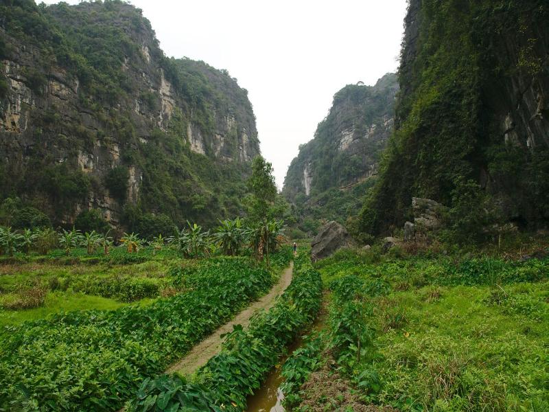 Little Tam Coc image