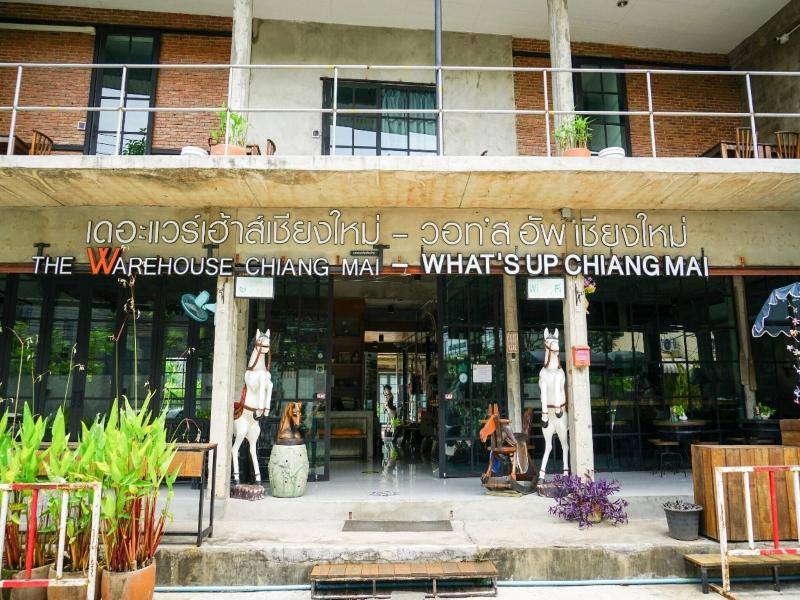 What's Up Chiang Mai