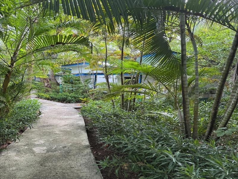 Lanta Island Resort image
