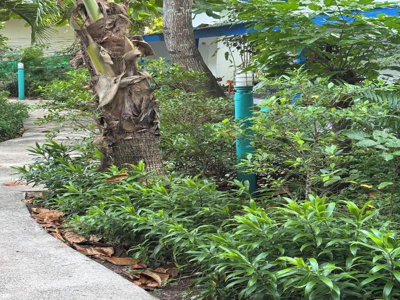 Lanta Island Resort image