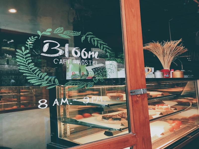Lipe Bloom Cafe and Hostel image