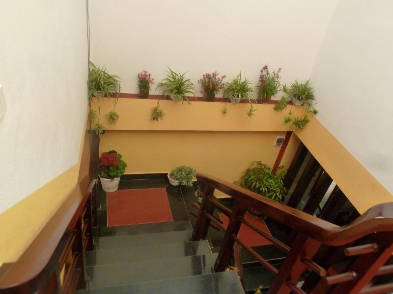 Sapa Local House