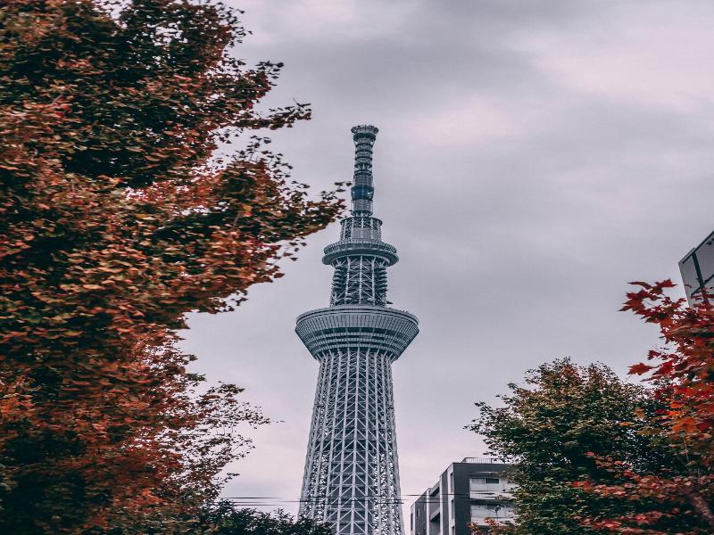 The Millennials Shibuya image