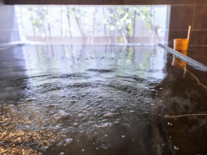 Super Hotel Shinagawa Shinbanba image