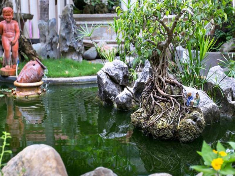 Bonsai Villa Hoi An image