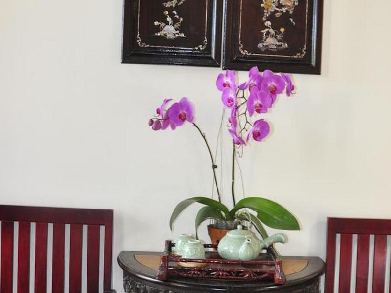 Bonsai Villa Hoi An image