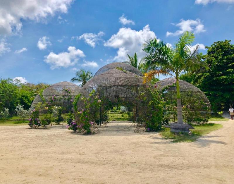 Fenix Beach Cartagena image
