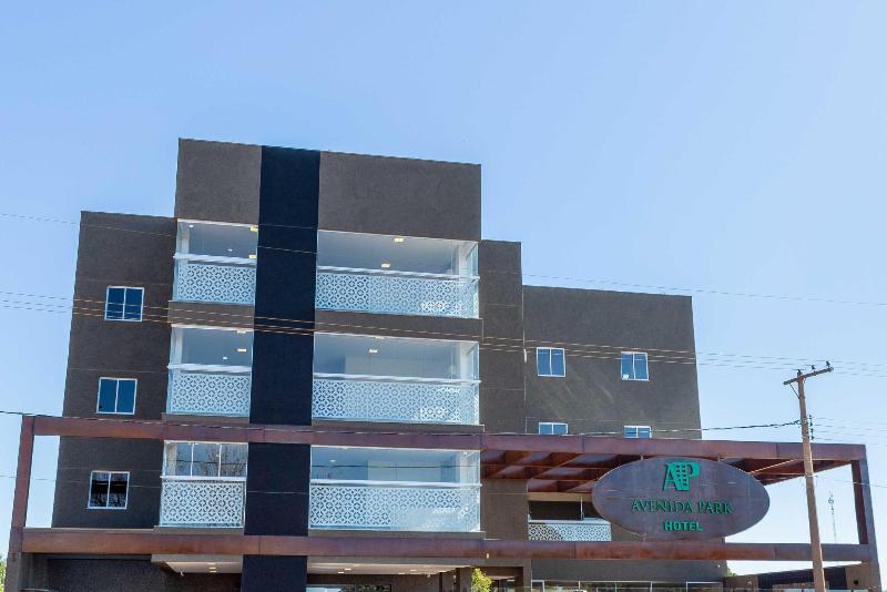 Avenida Park Hotel image