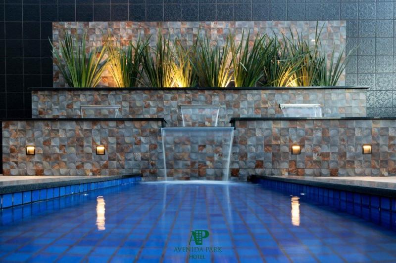 Avenida Park Hotel image