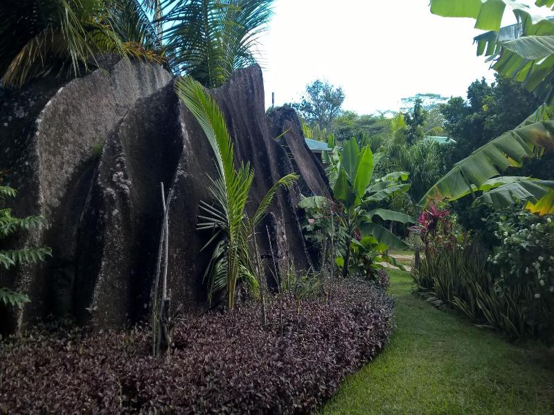 Cocotier Du Rocher image