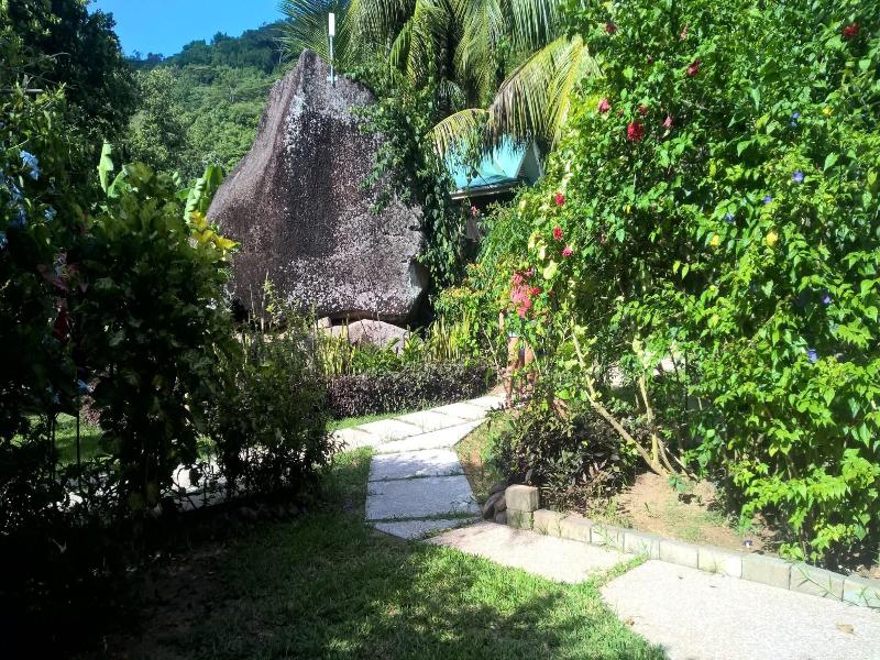 Cocotier Du Rocher image