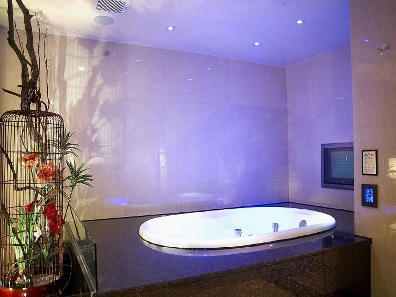 Slv Hotel Group Slv Business Hotel image