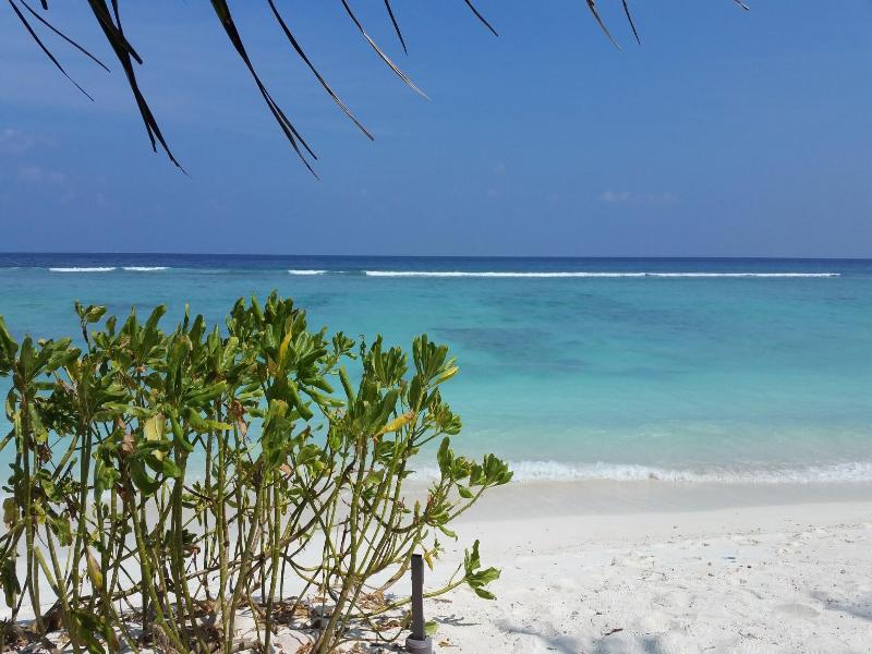 Vista Beach Retreat image