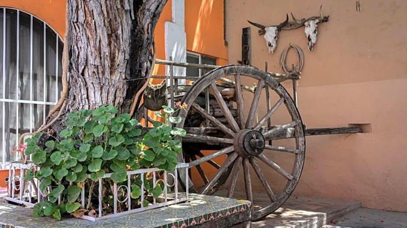 Hotel Posada Bugambilias