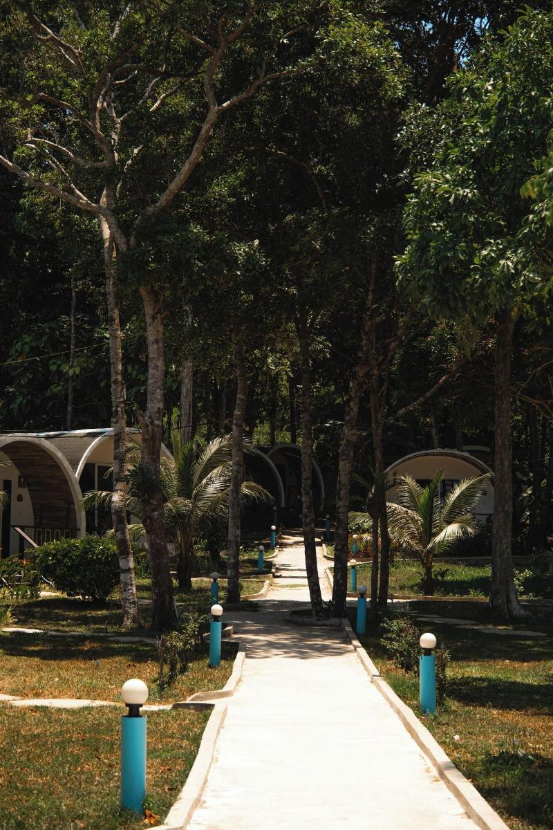 Tube Resort image