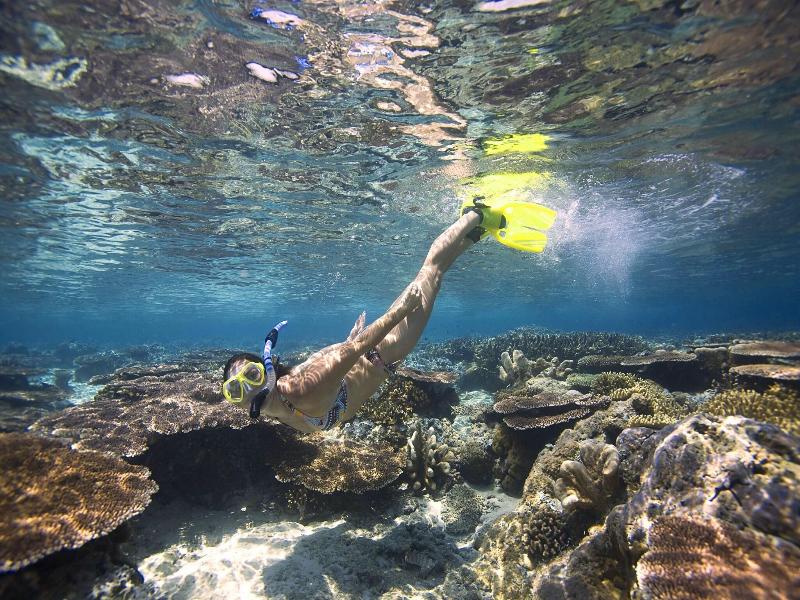 Tioman Dive Resort