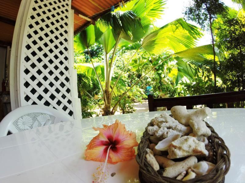 Coco Bay Guest House — photo 7
