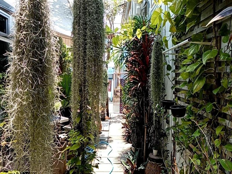 Daddy S Home Guesthouse Huahin image
