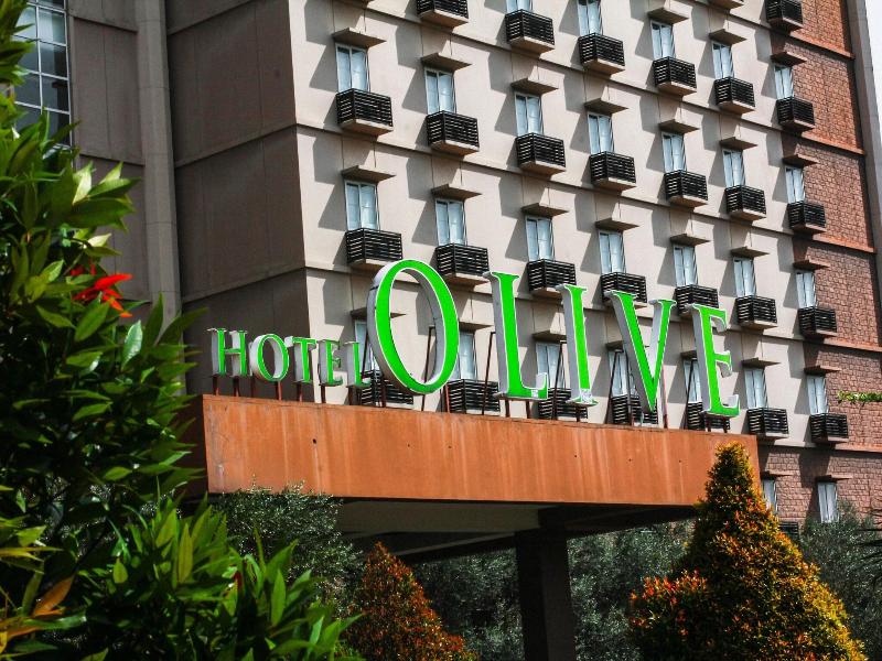 Olive image