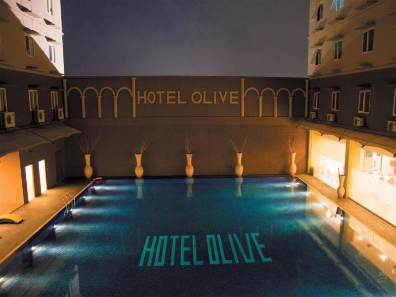 Olive image