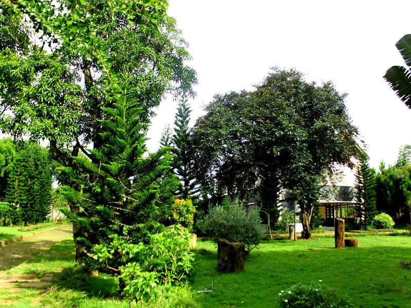 Resort Coffee Tour