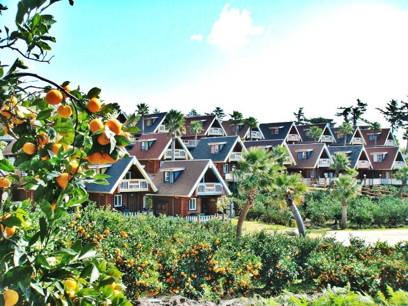 Jungmun Log Pension And Resort