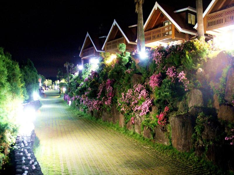 Jungmun Log Pension And Resort