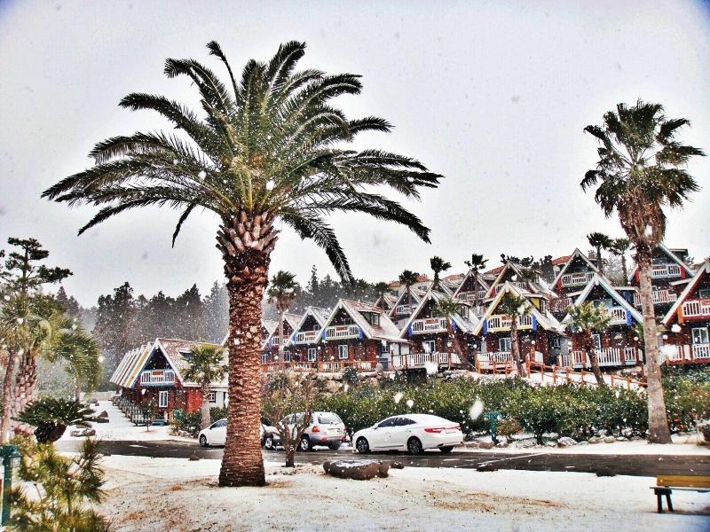 Jungmun Log Pension And Resort