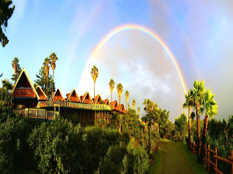 Jungmun Log Pension And Resort