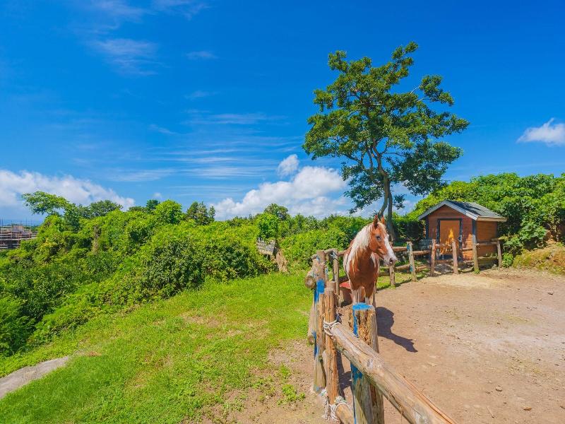 Jungmun Log Pension And Resort