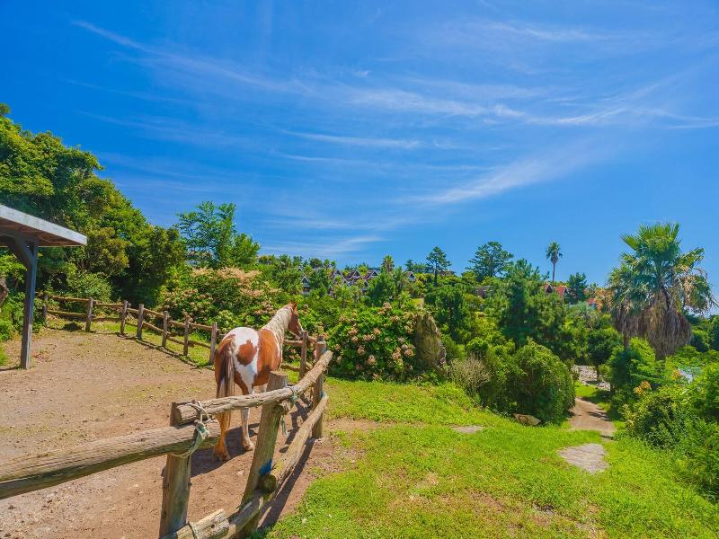 Jungmun Log Pension And Resort — photo 8