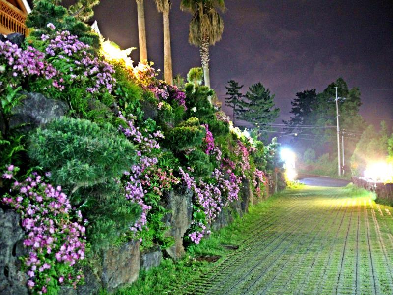 Jungmun Log Pension And Resort — photo 18