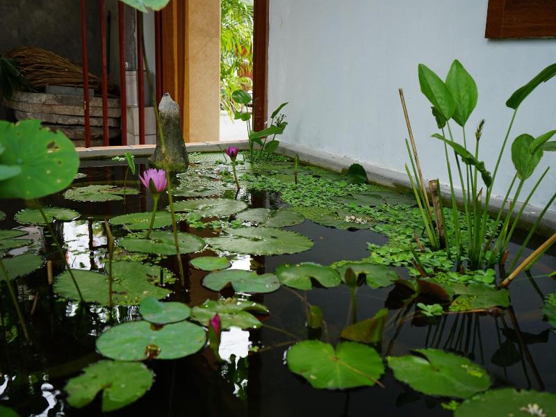 Seasing Boutique Hotel image