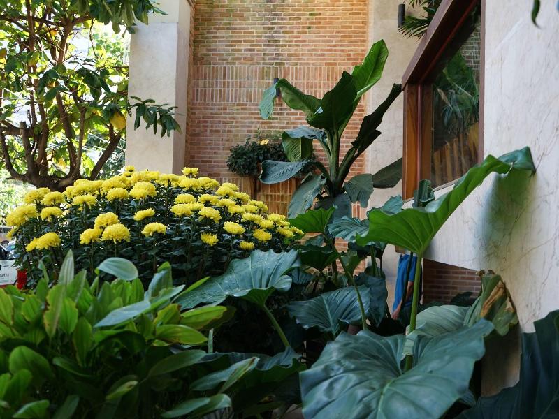 Seasing Boutique Hotel image