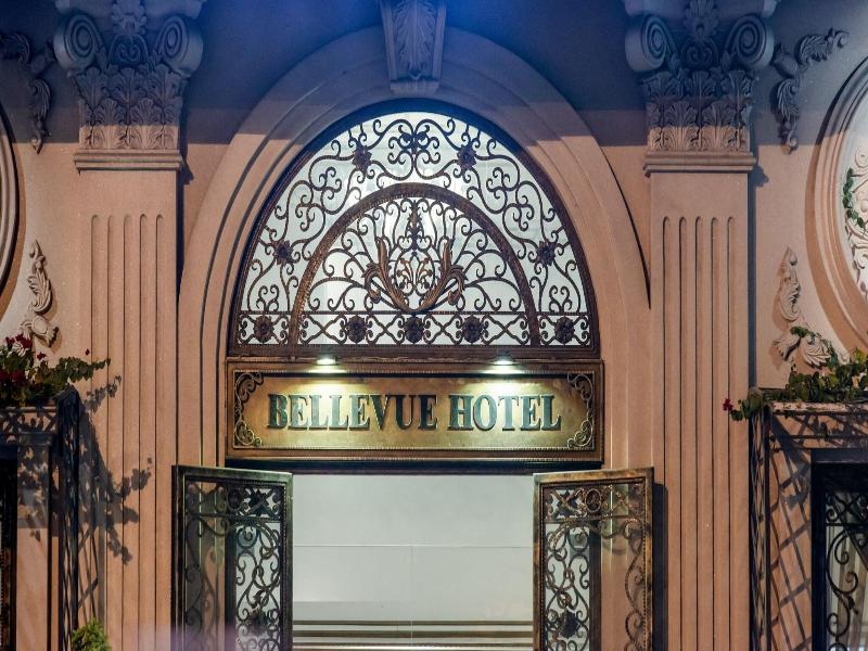 Bellevue Hotel image