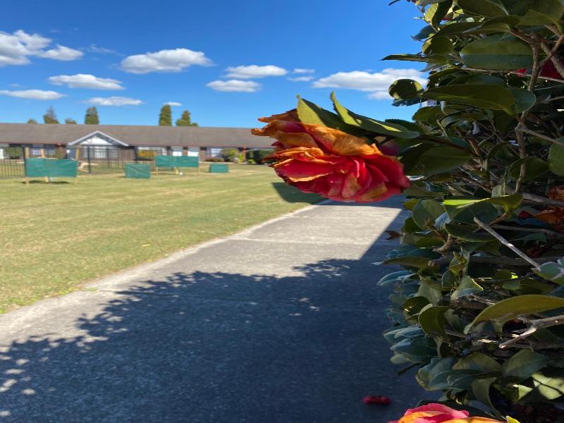 Airport Motel Sir Francis Drake image