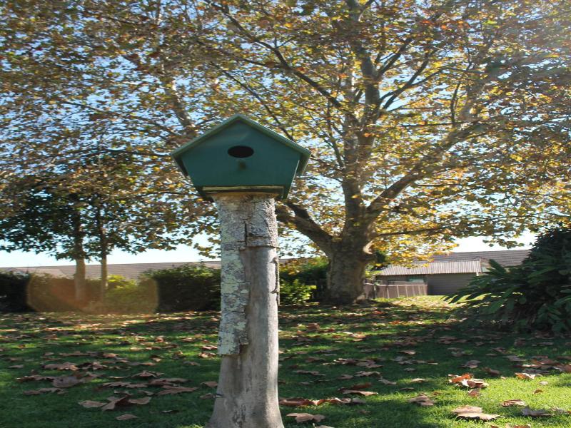 Airport Motel Sir Francis Drake image