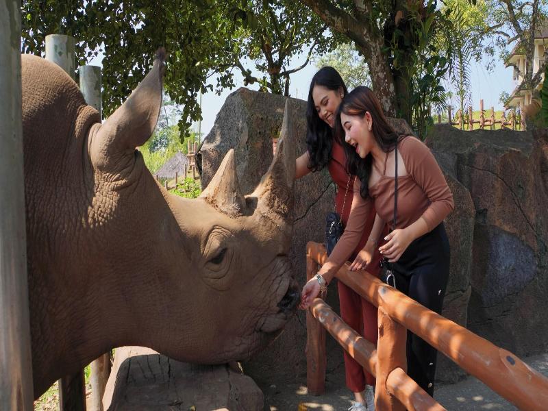 Baobab Safari Resort image