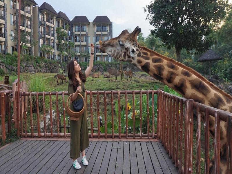 Baobab Safari Resort image